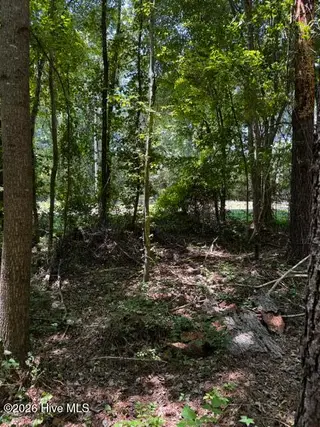 Lot 1 Dan Road, Robbins, NC 27325 – photo 11: 10