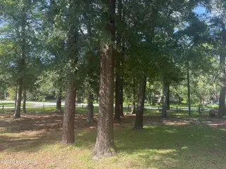 5596 Sycamore Street, Wilmington, NC 28403 – photo 4: IMG_6865