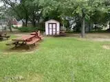 1001 Tarboro Street, Rocky Mount, NC 27801 – photo 10: Back Yard