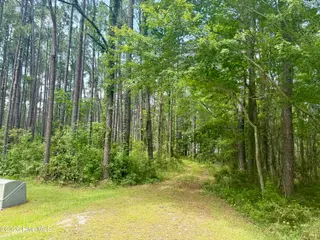 558 Sandy Point Drive, Beaufort, NC 28516 – photo 2: Entrance from road