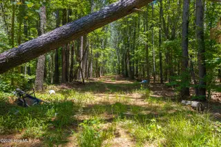 674 State Road 1415, Greenville, NC 27834 – photo 10: 674 State Road 1415 Greenville NC