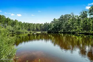 137 Manley Road, Carthage, NC 28327 – photo 16: 42_ftp_real_estate_media_137_manley_fina