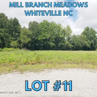 112 11 Mill Branch Drive, Whiteville, NC 28472 – photo 1: LOT #1_20250806_142336_0000