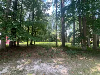 309 Potomac Drive, Chocowinity, NC 27817 – photo 1: IMG_5907