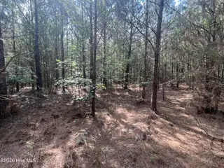 2364 Nc 102 E, Ayden, NC 28513 – photo 15: IMG_6370