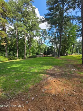103 Edinburgh Drive, Carthage, NC 28327 — 3-bedroom home in Dundee Estates, Carthage, NC, photo 6 of 36