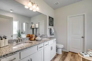 280 Mayflower Drive NW Lot 76, Calabash, NC 28467 – photo 19: Primary Bathroom Counter - Durham C - Se
