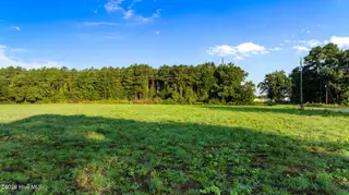 0 Old Smith Chapel Road, Mount Olive, NC 28365 – photo 5: DJI_0573