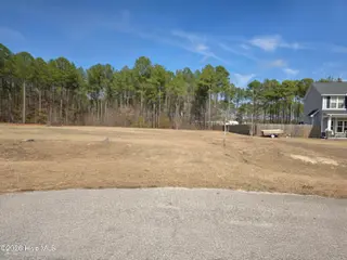 290 14 Raynor Sands Drive, Dunn, NC 28334 – photo 6: 20260306_111945(1)(1)