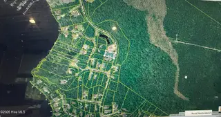 208 Pamlico River Drive, Washington, NC 27889 — lot in Pamlico Plantation, Washington, NC, photo 4 of 10: IMG_4853