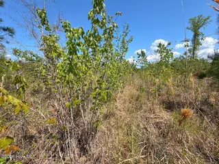 0 6 Guinea Mill Road, Ernul, NC 28527 – photo 18: 18