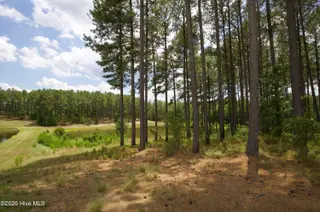 220 44B Justin Way, Foxfire Village, NC 27281 – photo 23: 220 Justin Way 44B-17