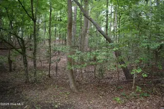 Lot 6 River Road, Blounts Creek, NC 27814 – photo 3: 2 Lot Photo