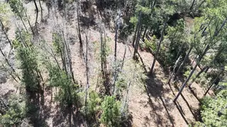 107 135 Pin Oak Court, Beaufort, NC 28516 – photo 4: DJI_20240315121544_0068_D Large