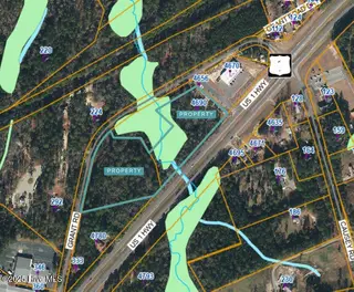 4690 Us 1 Highway, Vass, NC 28394 – photo 3: 4690 US 1 Hwy - Wetlands