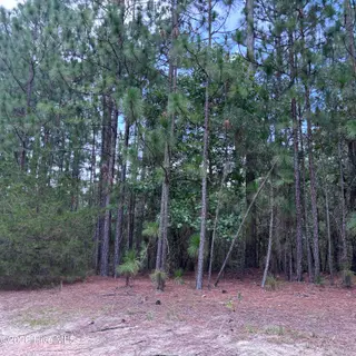 109 405 Haddington Drive, Pinehurst, NC 28374 – photo 8: IMG_5393
