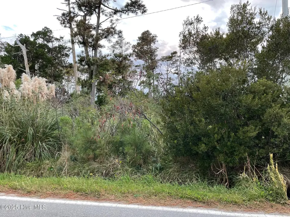 3019 Cedar Island Rd, Cedar Island, NC 28520 – photo 1 of 3: Front