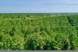 0 Bud Stephens Road, Evergreen, NC 28438 – photo 11: drone 10