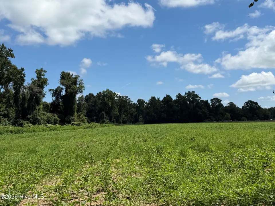 6514 Princess Ann Road, Evergreen, NC 28438 – photo 1 of 5: Road Frontage