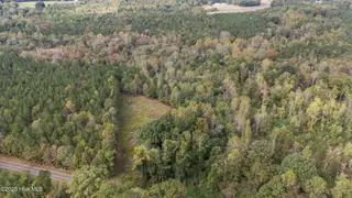 1435 Pineywood Church Road, Cameron, NC 28326 – photo 10: 1435 Pineywood Church Road