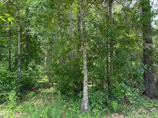 118 66 Ferret Run Lane, New Bern, NC 28562 – photo 10: IMG_7798