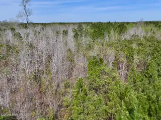 0 15 Guinea Mill Road, Ernul, NC 28527 – photo 17: DJI_20260408111308_0039_D