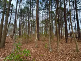 0 Lincoln Drive, Kenly, NC 27542 – photo 4: Photo Feb 06 2026, 3 26 08 PM