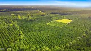 795 Pollard Swamp Road, Vanceboro, NC 28586 – photo 1: 1-print-DJI_0271 - edited