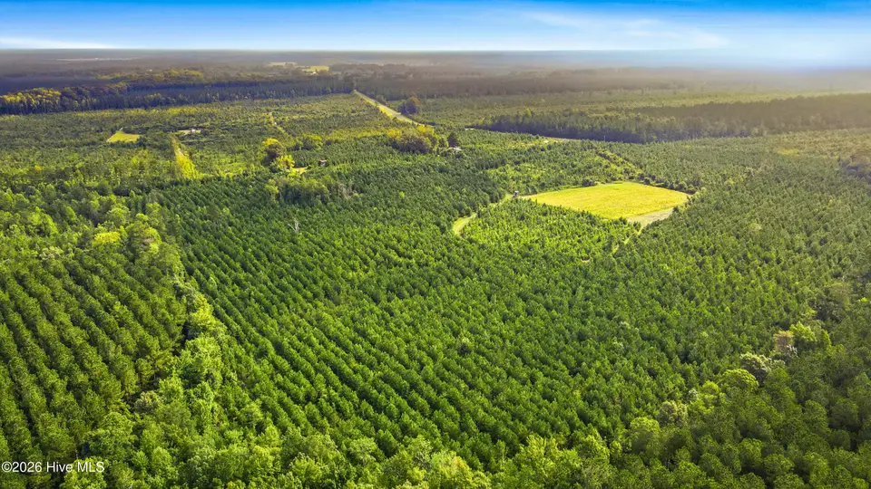 795 Pollard Swamp Road, Vanceboro, NC 28586 – photo 1 of 30: 1-print-DJI_0271 - edited
