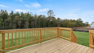 3004 Platinum Circle, West End, NC 27376 – photo 22: Deck