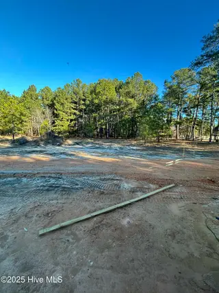 225 Spring Meadows Drive, Aberdeen, NC 28315 – photo 8: IMG_2562