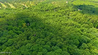 109 5 Equestrian Lane, Carthage, NC 28327 – photo 9: 9-web-or-mls-DJI_20260709142322_0640_D