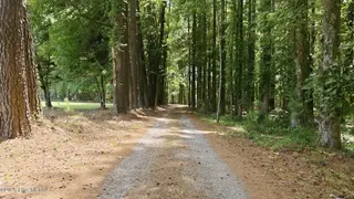 5349 A Pridgen Road, Elm City, NC 27822 – photo 4: Driveway