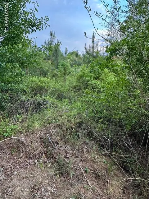 000 Duke Road, Castalia, NC 27816 – photo 1 of 2: Duke Rd Land