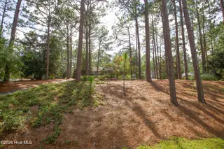 48 Martin Drive, Whispering Pines, NC 28327 – photo 3: 48 Martin Dr-1