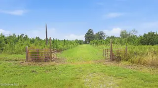 795 Pollard Swamp Road, Vanceboro, NC 28586 – photo 8: 8-print-DJI_0299