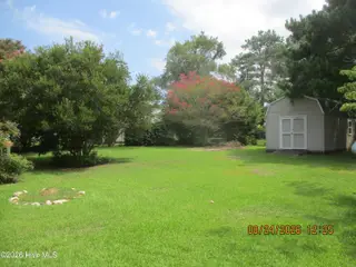 106 Williams Drive, Black Creek, NC 27813 – photo 15: 106 Williams backyard1-1