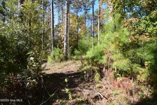 1005 16 Alabaster Drive, New Bern, NC 28562 – photo 4: 2