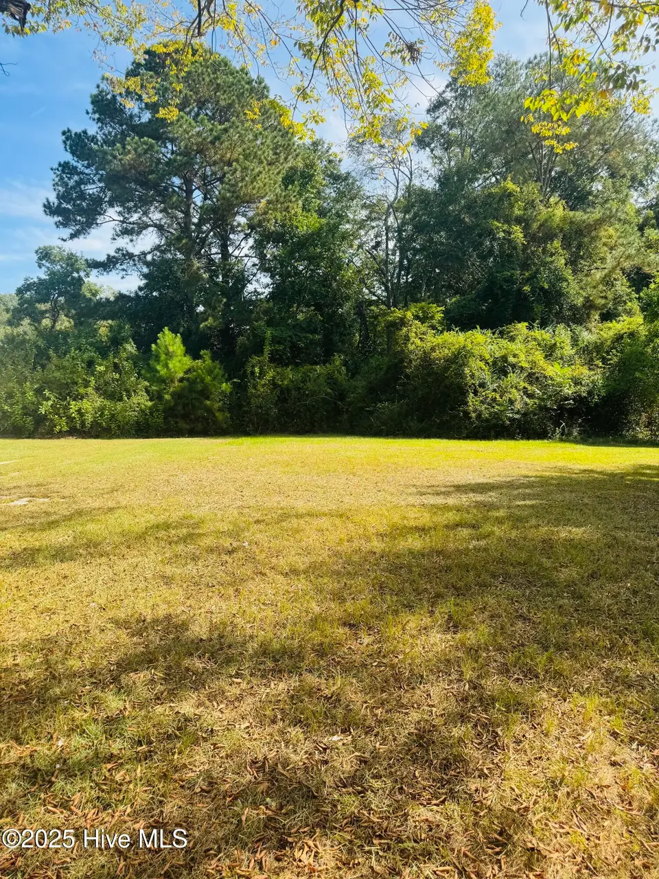1515 Charlotte Avenue, Kinston, NC 28501 – photo 1 of 2: Vacant Lot