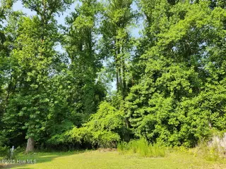 127 Hillingdale Drive, Washington, NC 27889 – photo 6: 9 BACKYARD