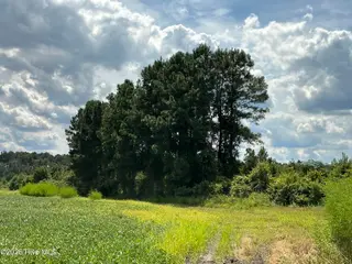 0 Near 685 Rossie Ober Road, Whiteville, NC 28472 – photo 9: IMG_0401