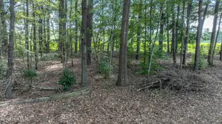 000 1.75AS Antioch Church Road, Middlesex, NC 27557 – photo 12: 000-Woods1