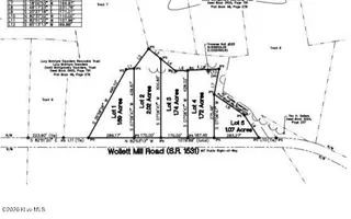 Lot 1-10 Wollett Mill Rd, Battleboro, NC 27809 – photo 2: IMG_0012