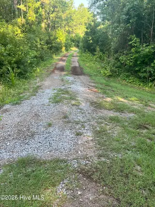 Lot 2 & 3 Strawhorn Creek Road, Aurora, NC 27806 – photo 11: IMG_6853