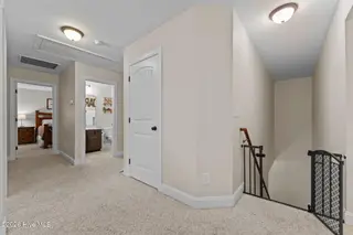 140 Wiregrass Lane, Southern Pines, NC 28387 – photo 21: 45-web-or-mls-45-print-DSC06613