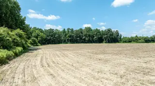 000 Oberry Road, Dudley, NC 28333 – photo 11: 0OberryRd-DudleyNC-11