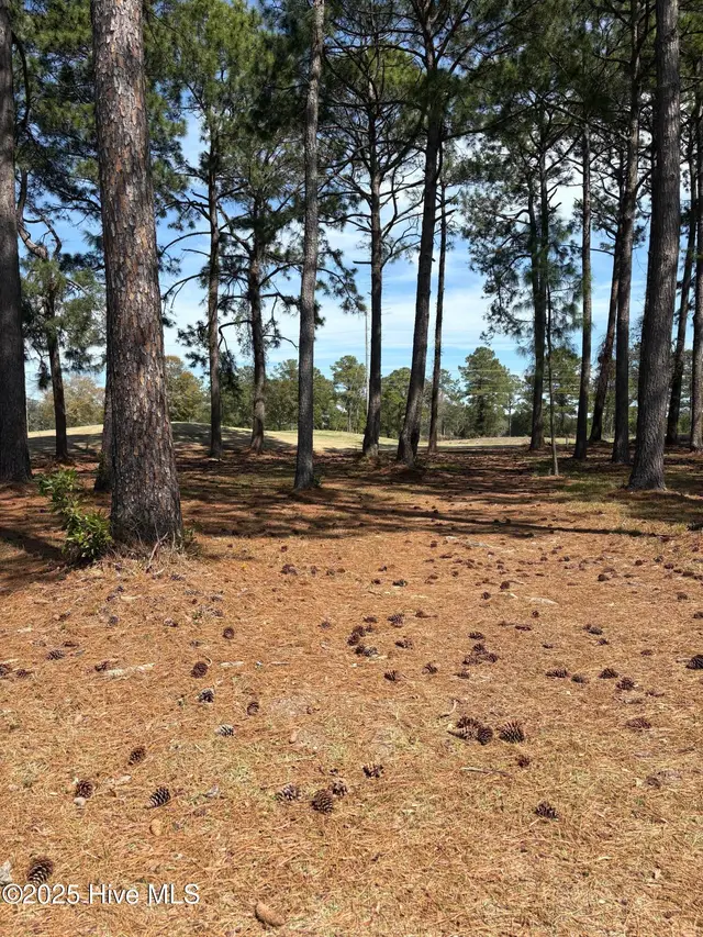 591 Lot 33 33 Eastwood Park Road, Sunset Beach, NC 28468
