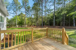 185 Shagbark Court, West End, NC 27376 – photo 24: 26_back porch
