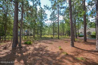 45 Abbottsford Drive, Pinehurst, NC 28374 – photo 8: 45AbbottsfordDr-06