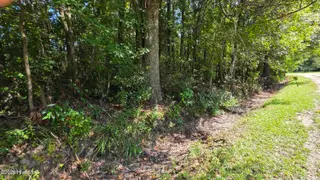 Near 74 Long Leaf Drive, Whiteville, NC 28472 – photo 2: Longleaf Dr.